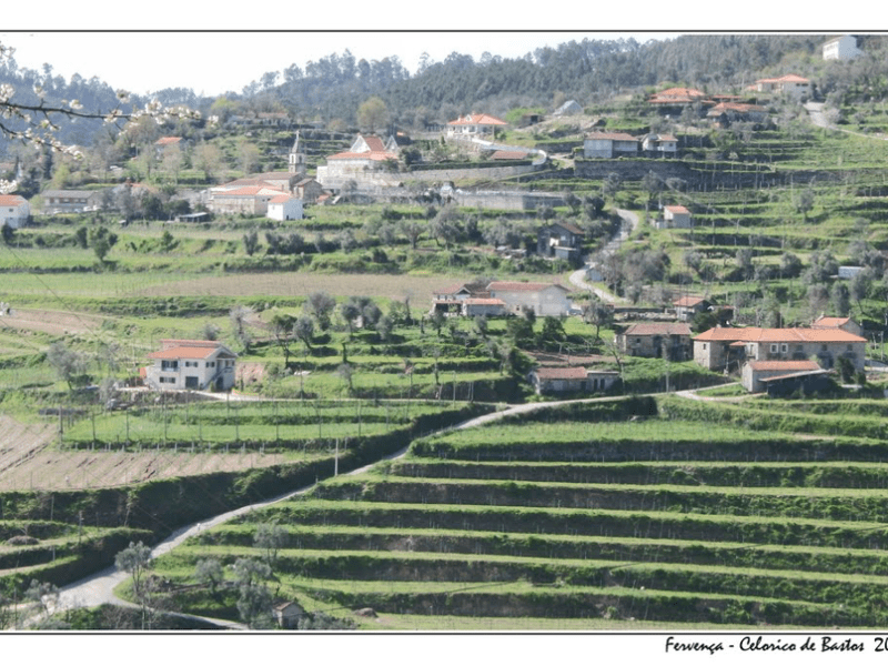 Homenagem a Fervença